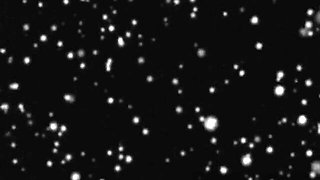 Nymphet's japan video by Fuck Me Like A Monster