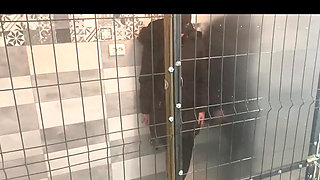 A Compilation of Blowjobs and Fucking