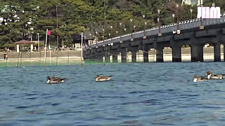 Photo Trip with Mimika -1