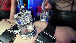 Femdom fetish bdsm ass toy humiliation