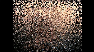 I'm Busy with My Pussy