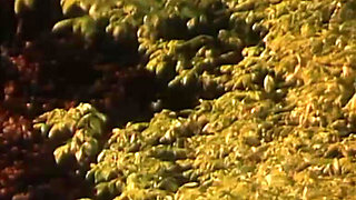 Annouchka and Joël Vintage Scene