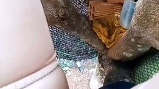 Asian teen on top of tree masturbating on camera 85441250996