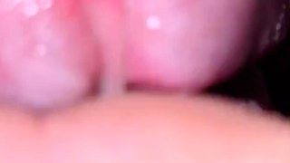 Cumshot Compilation #1 Twitty