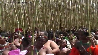 Lots of naked Africans in real video