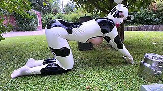 Big tittied lactating freaks milked like cows outdoors