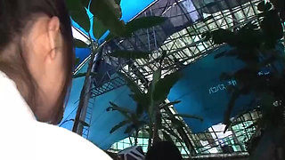 Mird-141: Sex Bus Tour - Part 4-9 - English Subtitles by Erojapanese