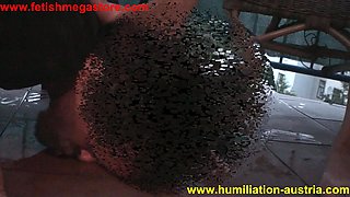 Humiliated Slaves - Porn babe