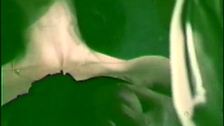 Lovely hairy chicks love threesome vintage fuck