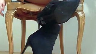 Indubiopronova aka indubiopronova OnlyFans - Which would