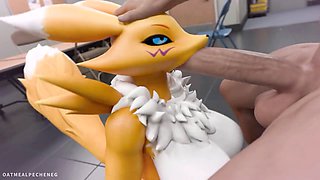 Furry compilation featuring Renamon in animated adventures