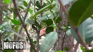 Mofos - sizzling hot cougar ashlee chambers bangs a knob in the woods like no one is watching
