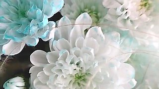 Bouquet of Flowers
