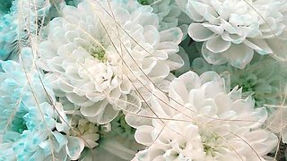 Bouquet of Flowers