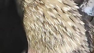 Sex Fur Doll for Rich Men