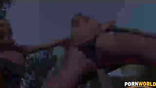 Sting of the Roses