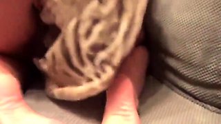 Sensual masturbation with my holes spread