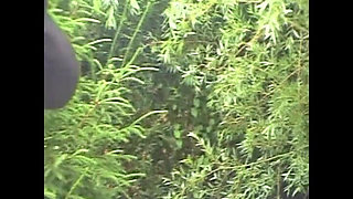 Hard BDSM Domination for Two Submissives