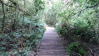 We Have Sex in the Garden of Eden and Nearly Got Caught