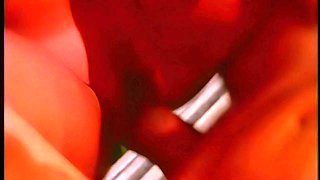 Facial cumshot movie with cute Ellen Padilha from Ass Mania