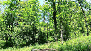 I move my pretty ass and show you my sexiest panties in the middle of the forest
