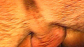 John Thompson: Cum Limits