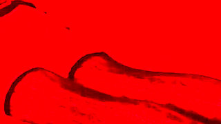 BDSM Vani Is Submissive to Choko