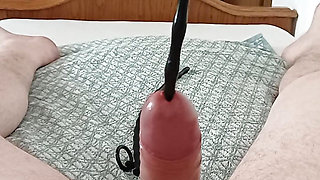 lucky cock