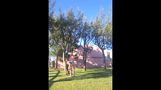 Stepmother in a Bikini in the Garden of the House Makes a Video for Her Stepson, to Show off Her New Clothes.