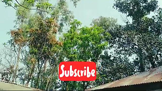 Bangla Choti Golpo Bangla Choti Hot Golpo Choti Goplo