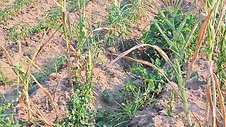 We fucked on the island in front of the entire population, it was good and tasty