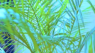 Gorgeous Girl's Vibrator Masturbation: Lovense Lush 3 Sensation