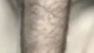 Arabian Slaves with Her Owner Sehar