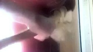 Hot Amateur Babes with Big Boobs Have Some Titty Fucking Fun