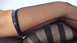 Taking control of my pet A131