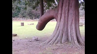 Funny Tree Shapes