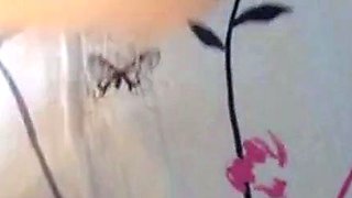 Korean Couple's Intimate POV Home Video