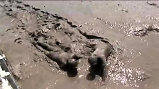 Amateur outdoor beach fuck