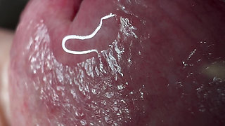 Crocodile Mouth Releases Fluid