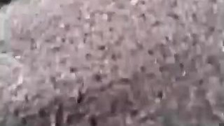 Jolene on cam while driving