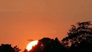 Indian babe toys her pussy on webcam