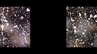 The Glass Dildo - Teen Toying Peeing - Sexlikereal