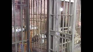 Roxanne Hall in My Love Story with Randy Spears