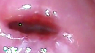 Extreme Close-up Pussy Cam