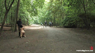 The Dog Walk