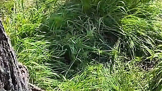In the Countryside I Give a Blowjob to a Stranger