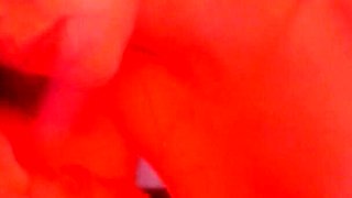 S3xus Vol. 2