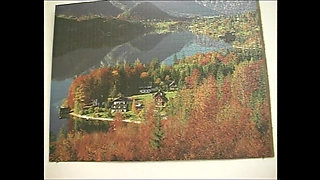 A Big Fake Cock to Start