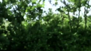 Big assed busty tit fuck and blowjob
