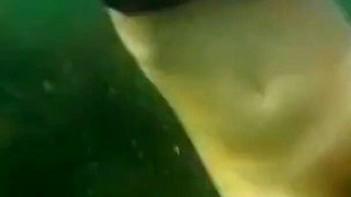 Swimming and Flashing in the Sea